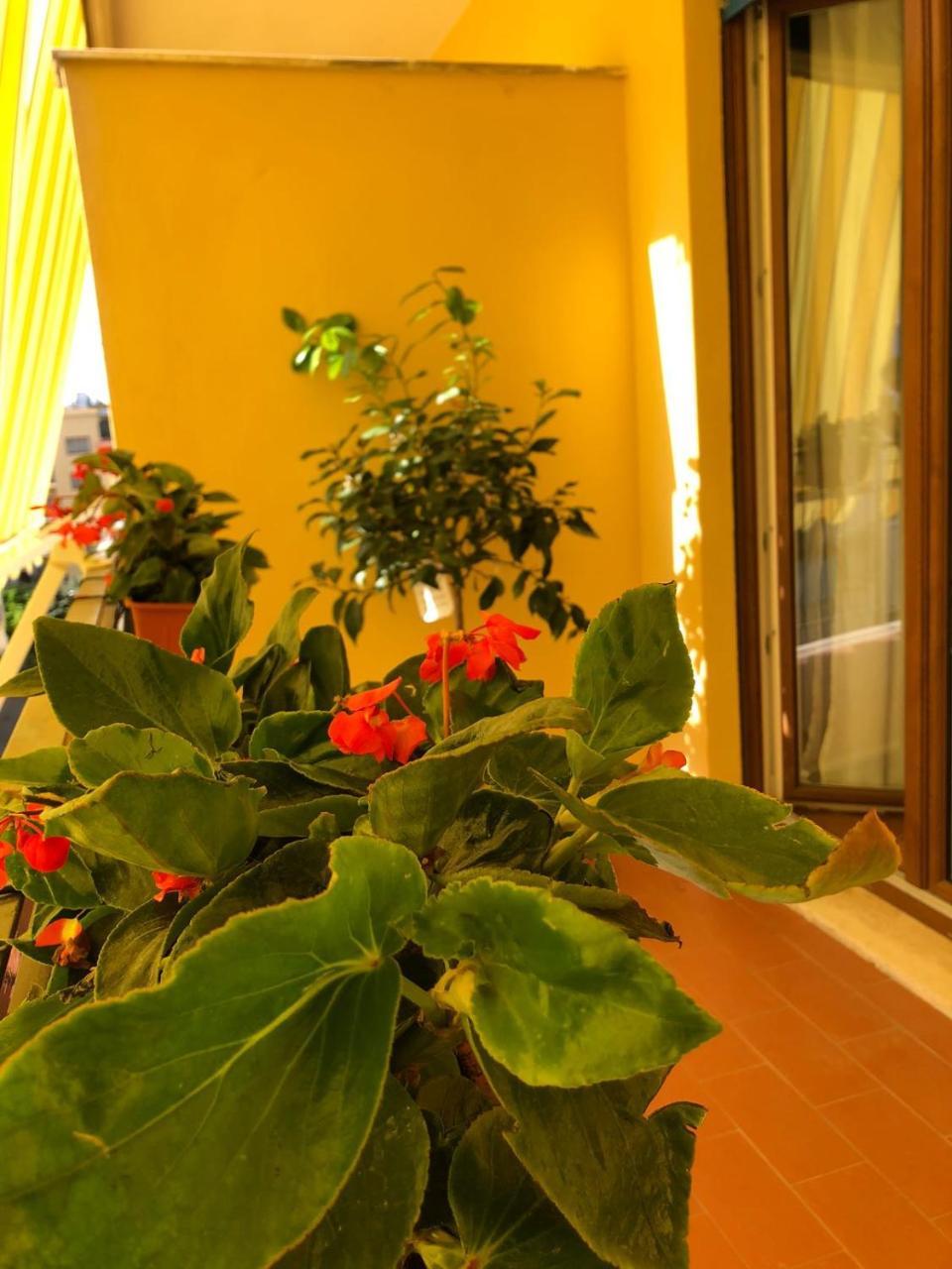 Bed & Breakfast La Rada