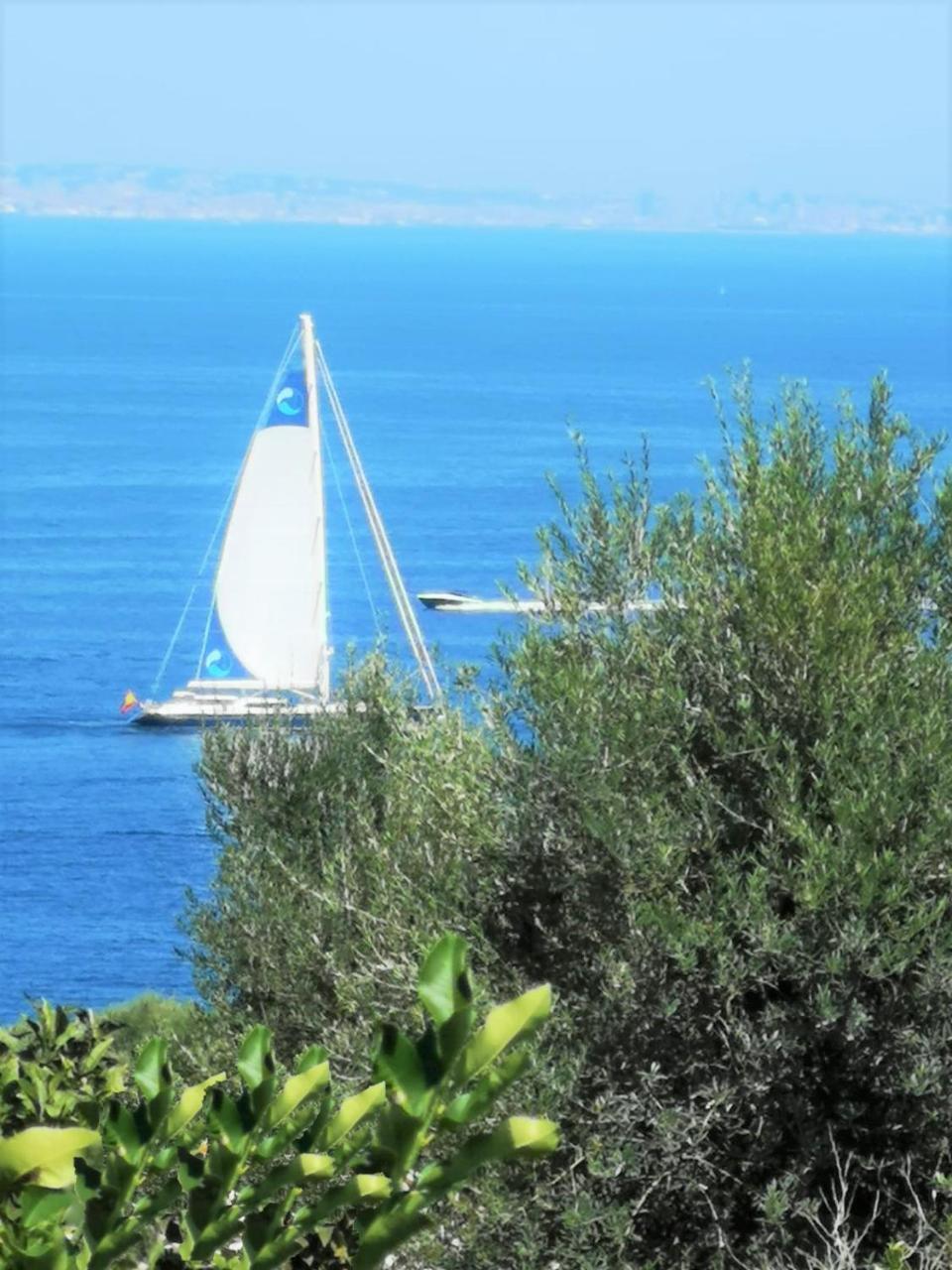 Rosmary - Coast - Gulf Of Naples View *