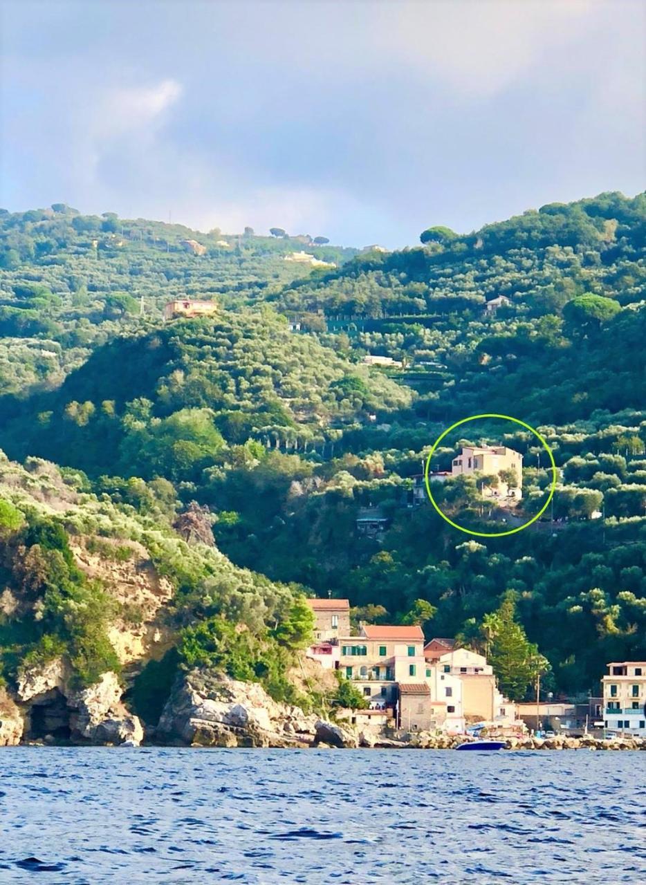 Rosmary - Coast - Gulf Of Naples View Sorrento