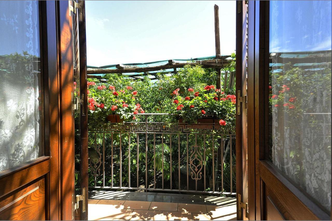 Bed & Breakfast Anthea *