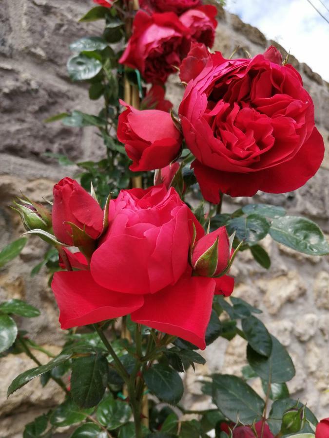 Bed & Breakfast Mario Relais