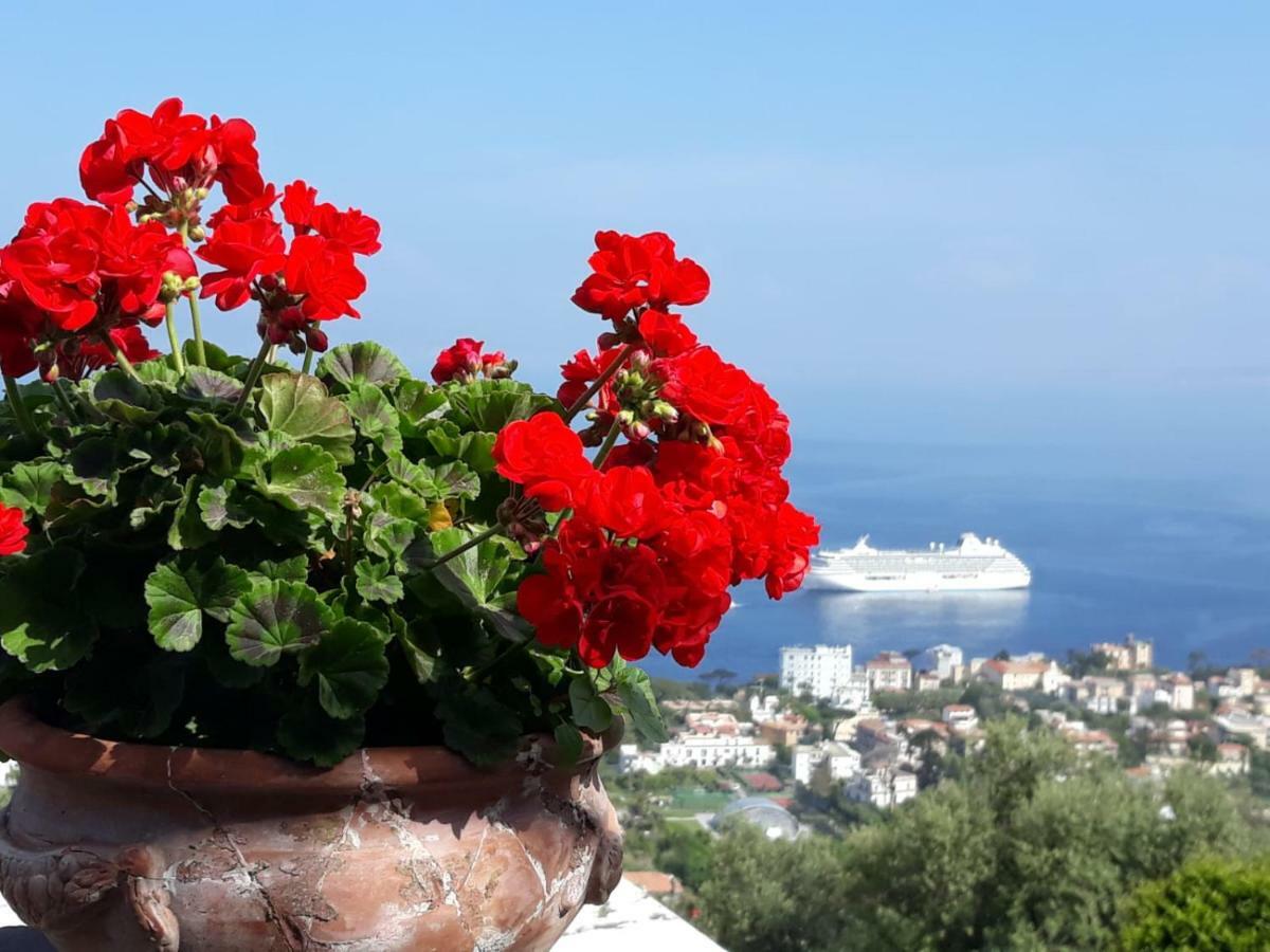 Bed & Breakfast Le Muse Sorrento