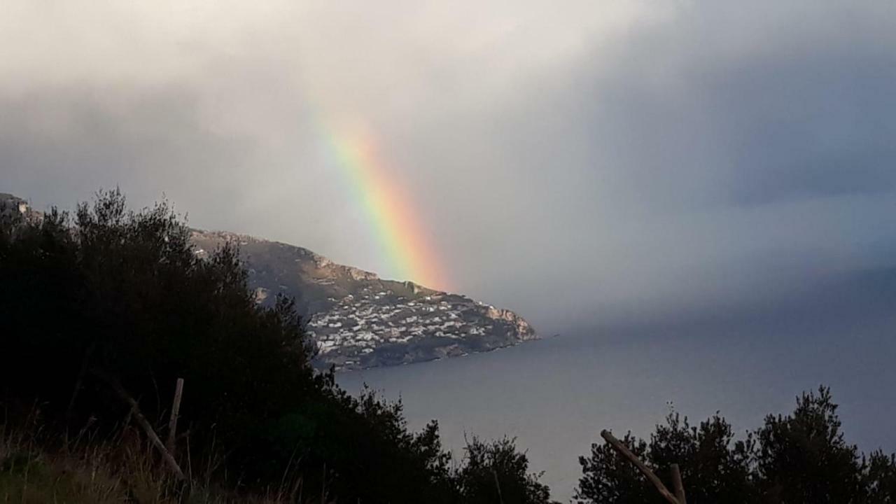 Le Muse Sorrento