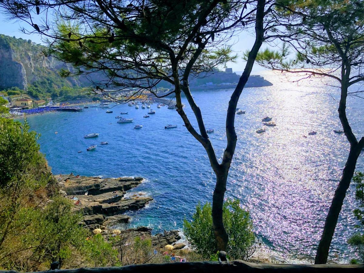 Bed & Breakfast Le Muse Sorrento