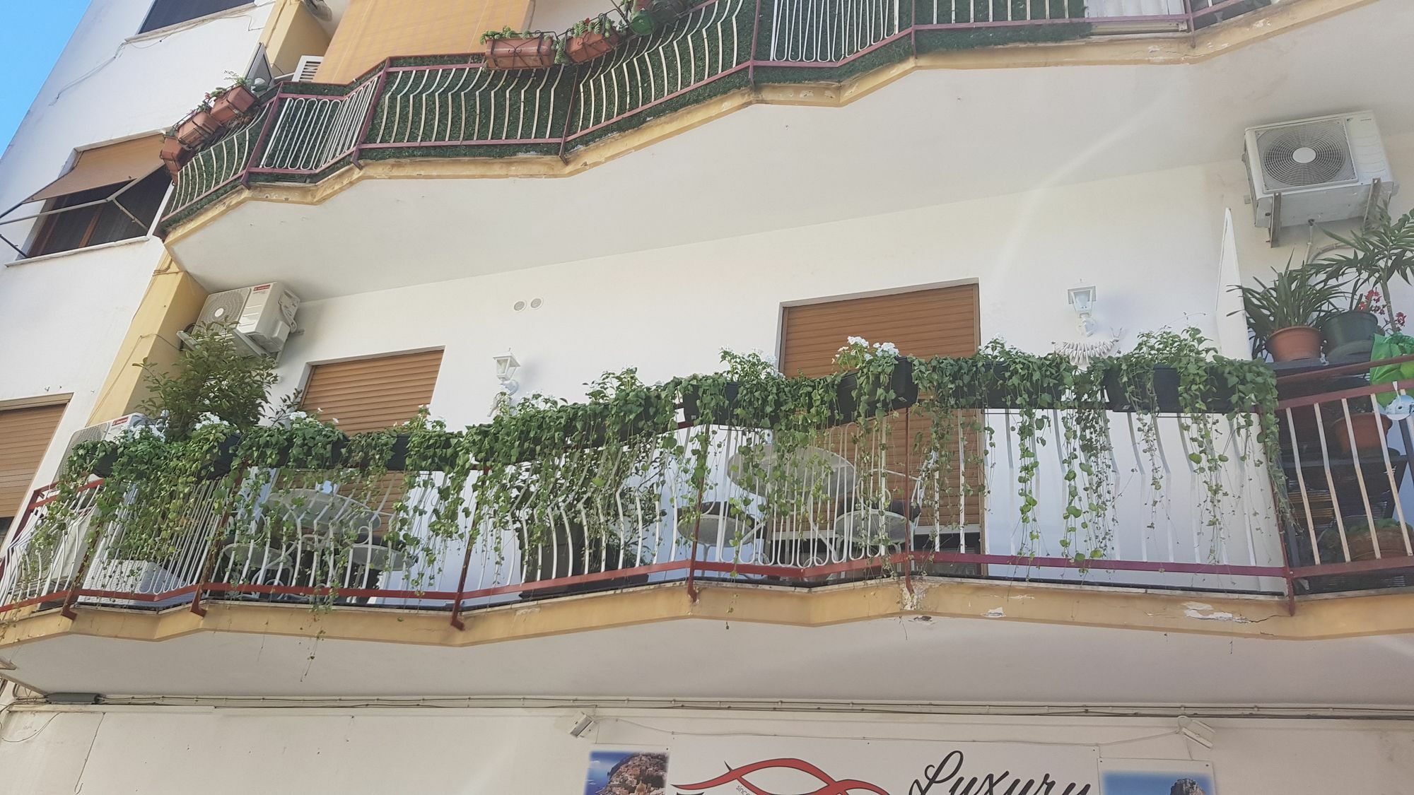 Flower Guest house