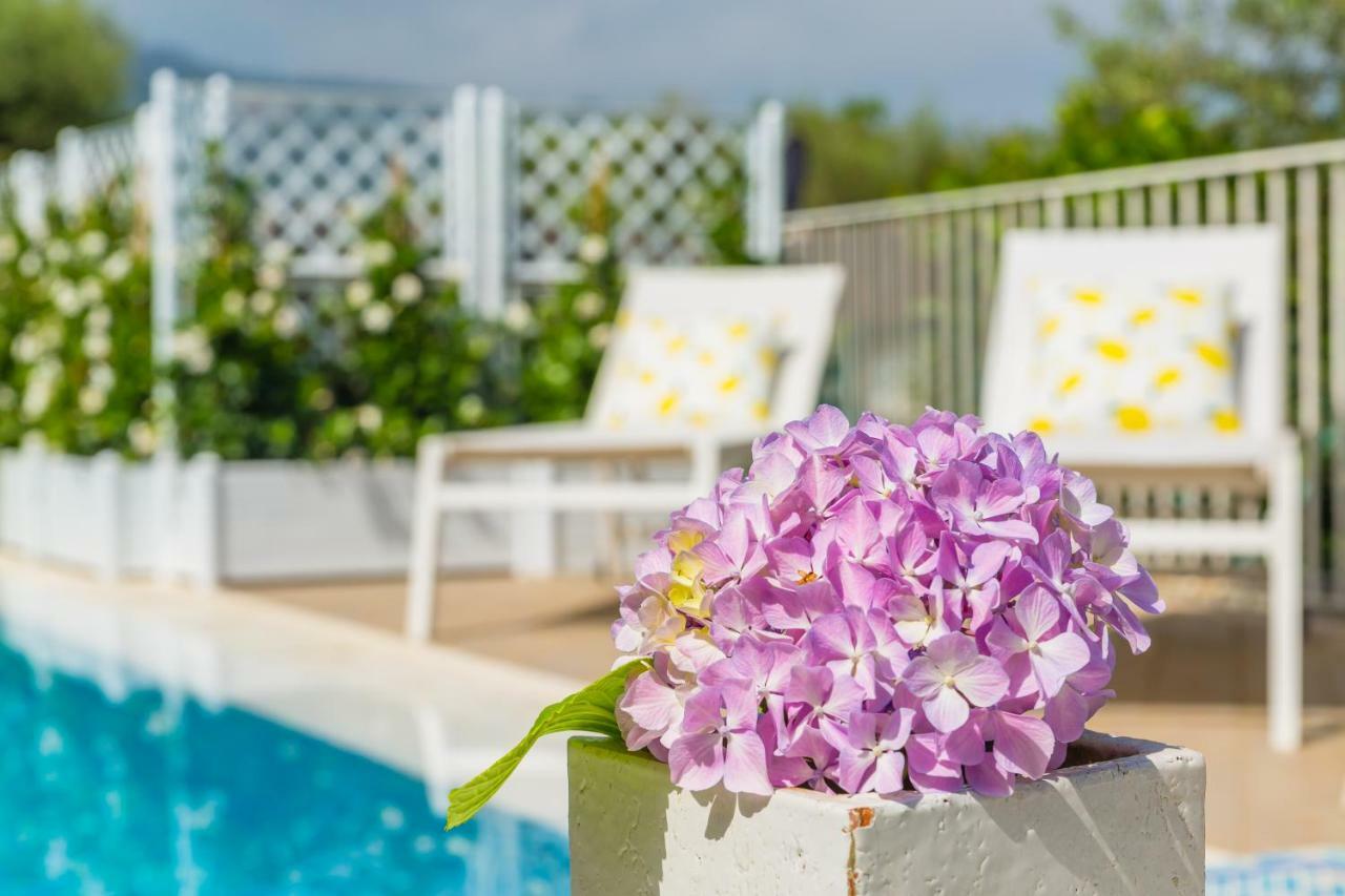 Flats Villa Sorrento