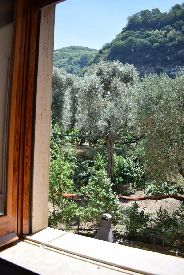Dolce Casa * Sorrento