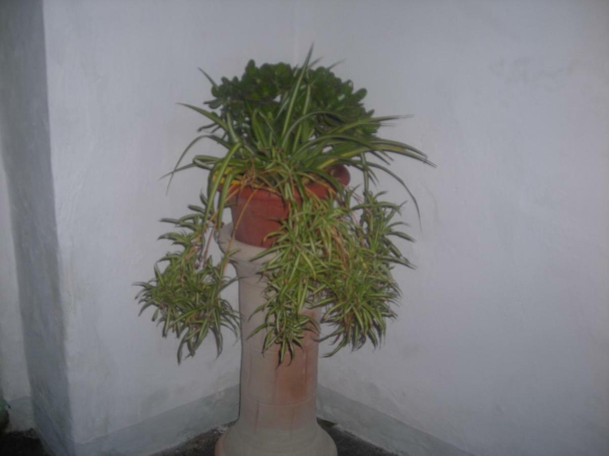 Holiday home Raggio Di Sole