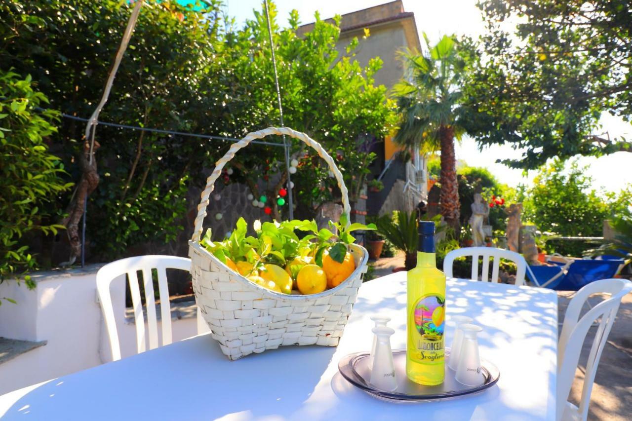 La Rosa Del Sud - De Vivo Realty Sorrento