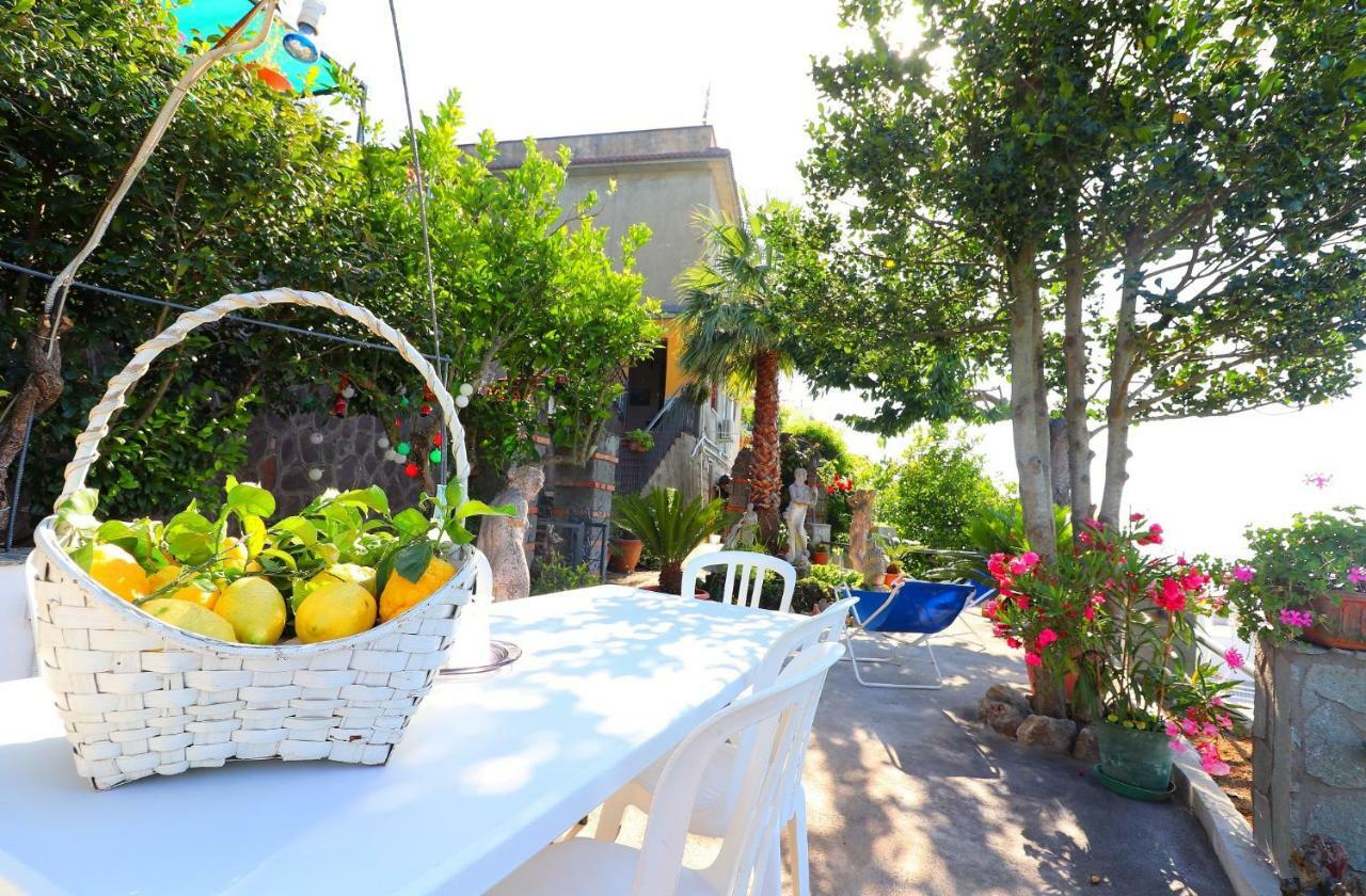 Appartement La Rosa Del Sud - De Vivo Realty