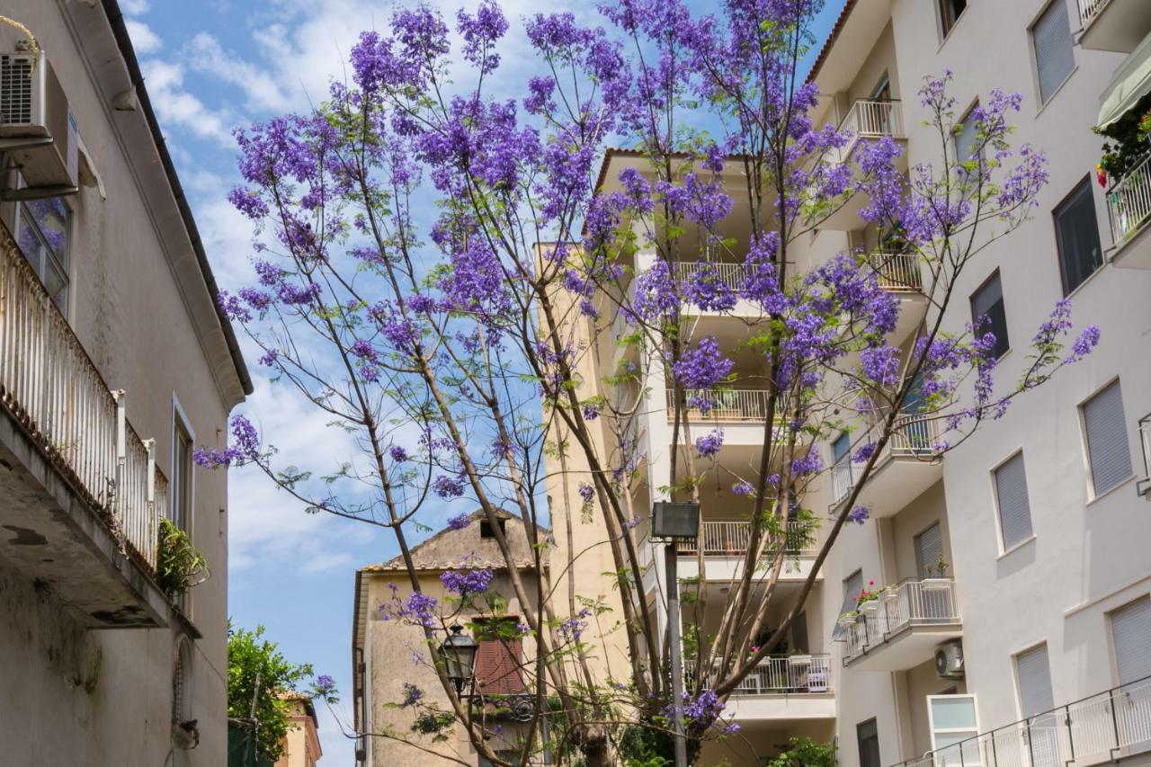 Sorrentovibes - Luxury Four Bedroom Home With Amazing Terraces In Sorrento 2*