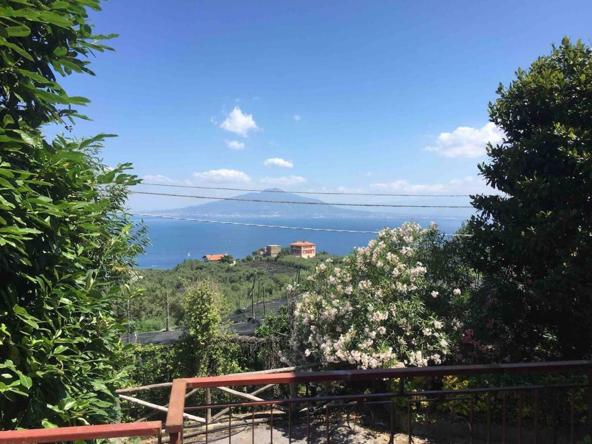 Appartement The Magnolia Sorrento