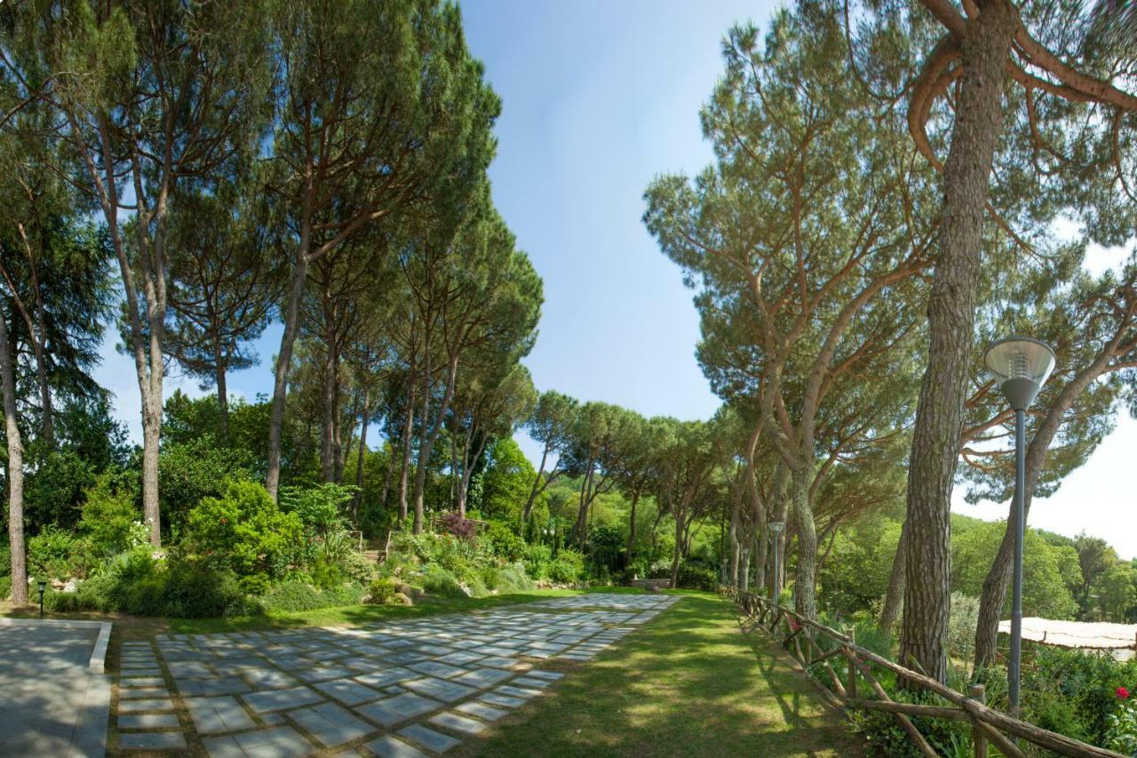 Mambrini * Sorrento