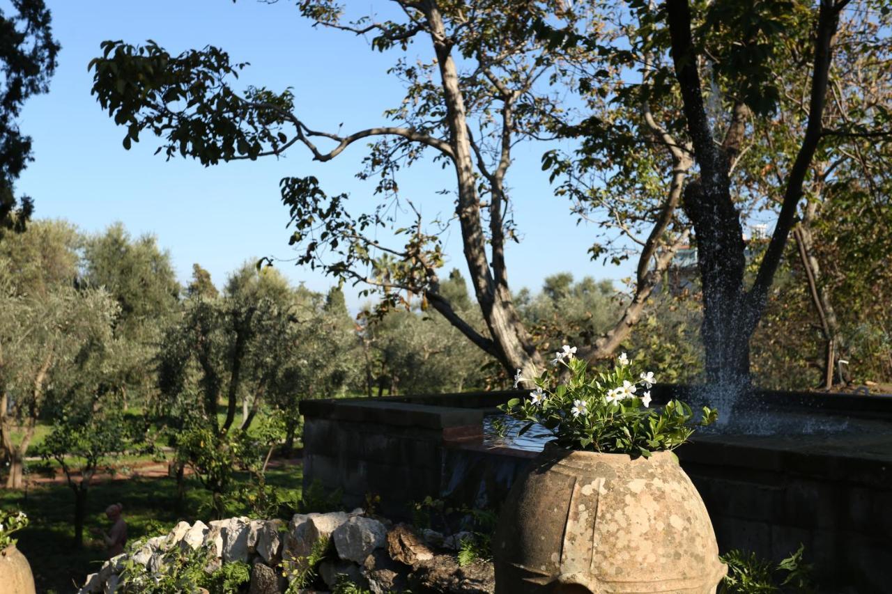 Zagara - La Serra * Sorrento