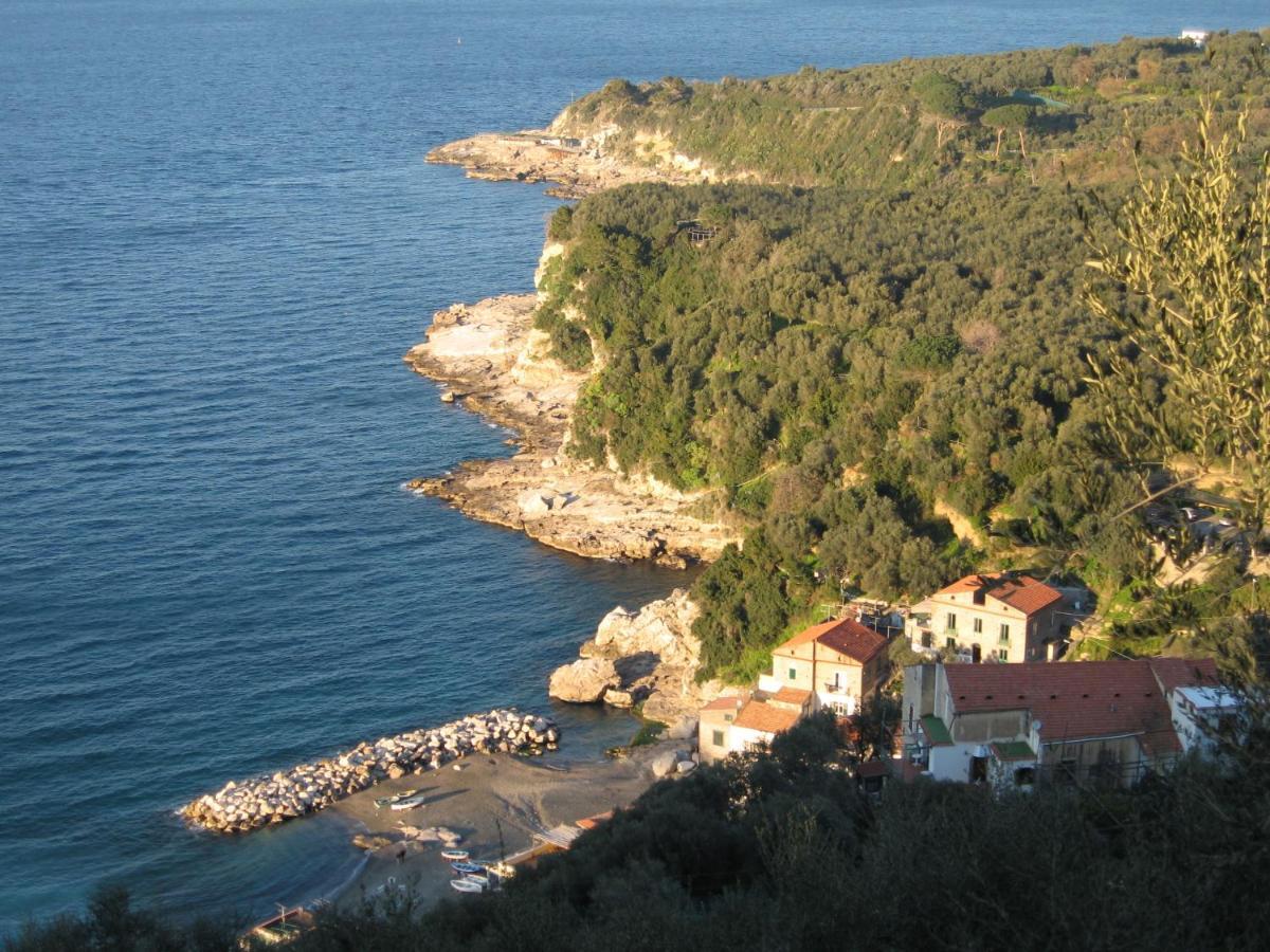 Igea Hotel