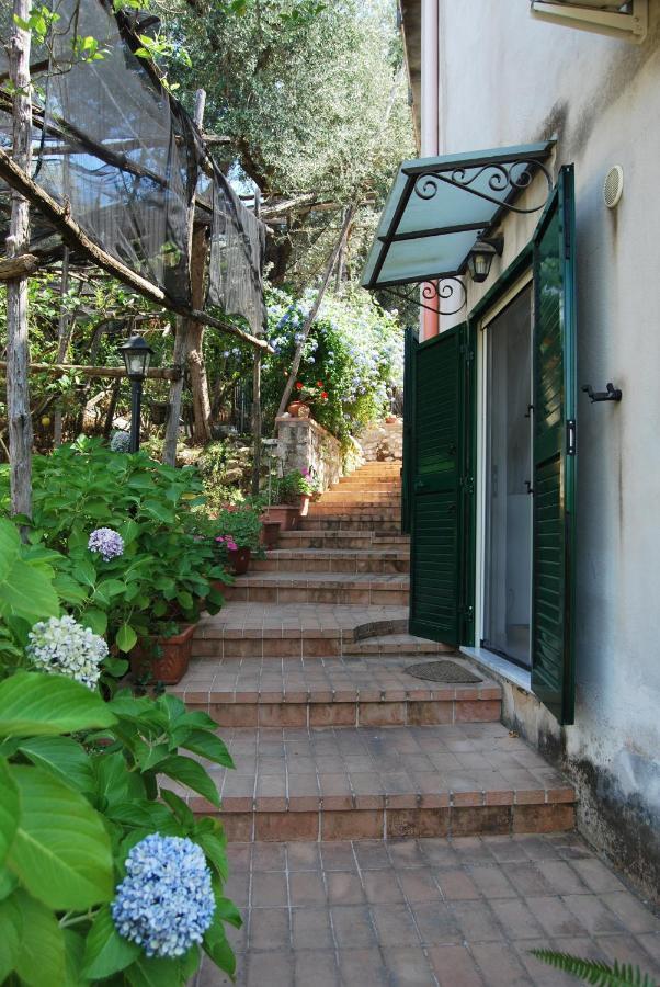 Studios Guest house