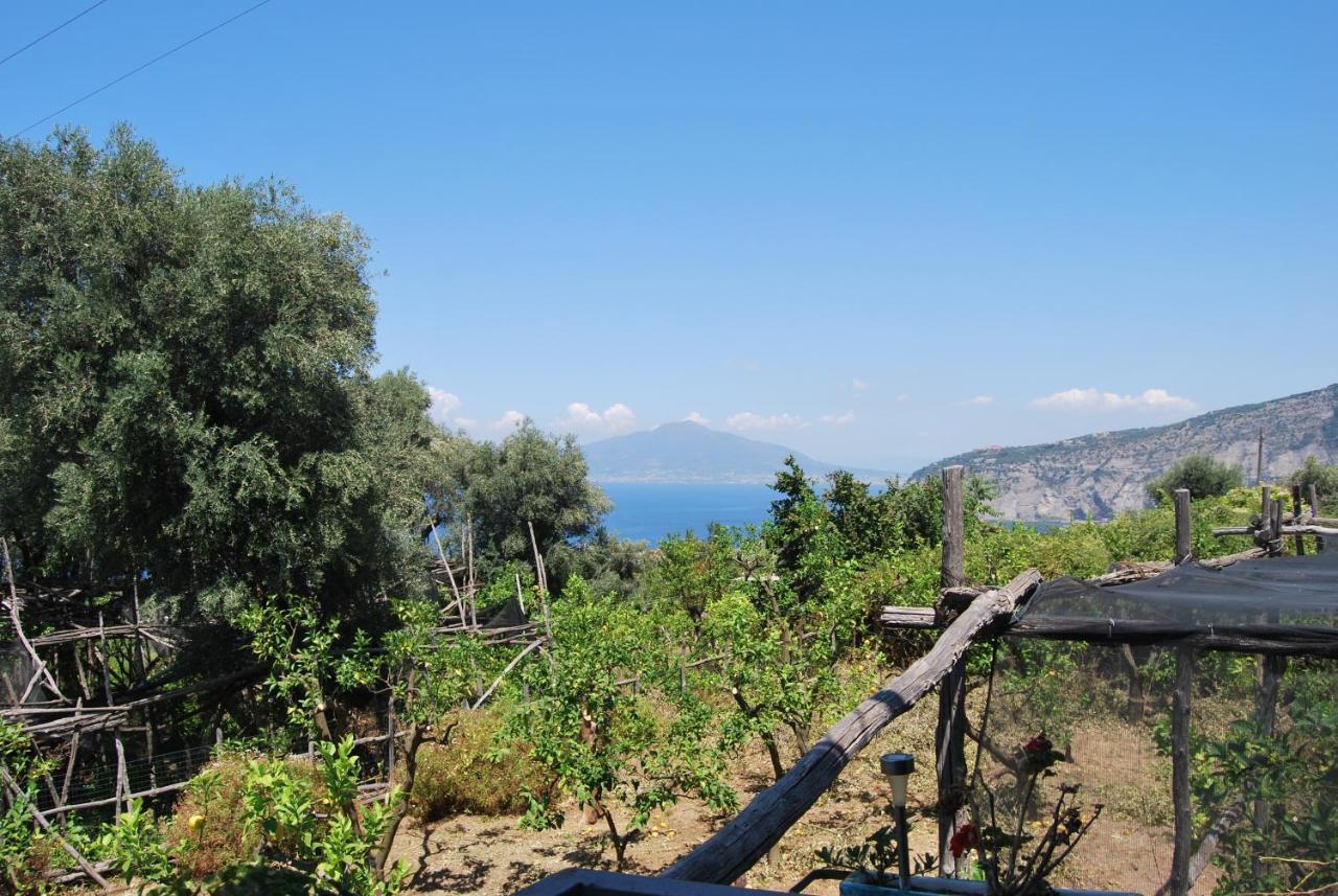 Guest house Studios Sorrento