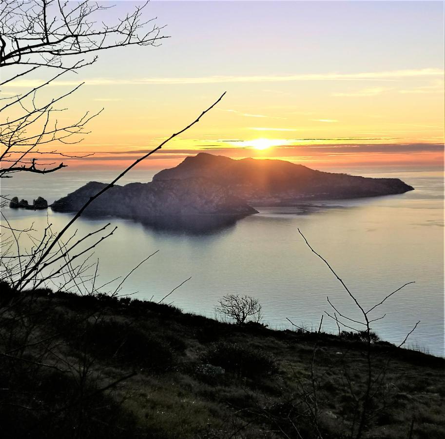 Rosmary - Coast - Gulf Of Naples View * Sorrento