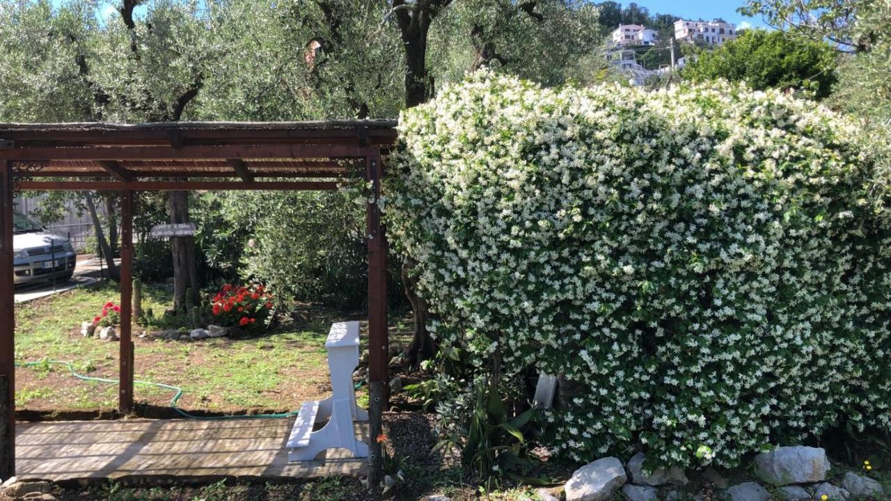 Acomodação com café da manhã  Oasi Madre Della Pace Sorrento