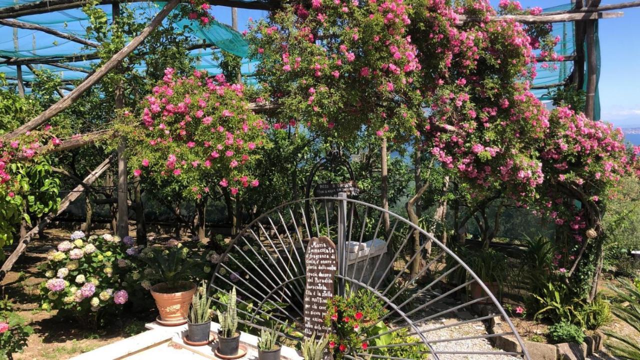 Acomodação com café da manhã  Oasi Madre Della Pace Sorrento