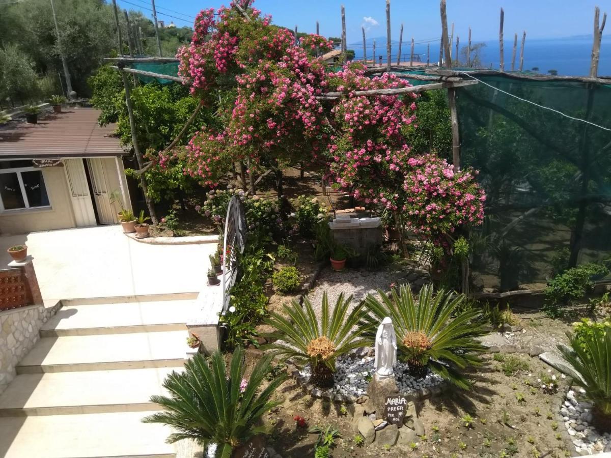 Acomodação com café da manhã  Oasi Madre Della Pace Sorrento