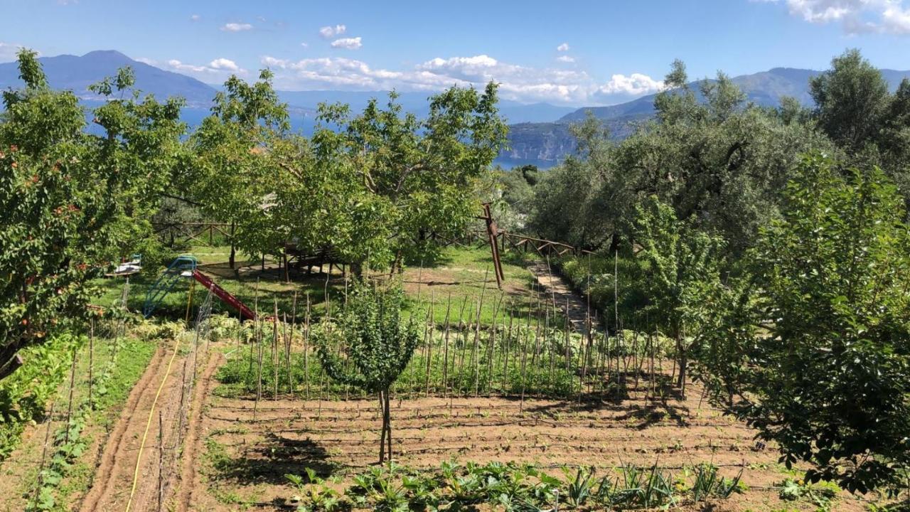 Acomodação com café da manhã  Oasi Madre Della Pace Sorrento